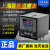 上海亚泰NE-6411V-2仪表温控器NE6000-2温控仪NE-5411数显温度表 NE-6421-2D(N) K 400度