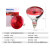 高校实验科研250W干燥保温烘烤螺口灯泡台式 250W红光单灯泡 100-300W