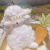KAKZ小羊玩偶美国小羊公仔毛绒玩具情人节网红羊玩偶生日礼物女朋友 粉色兔子小羊+礼盒+礼袋+香包+彩