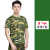 军训服套装男大学生高中草绿迷彩服夏季薄款长裤子蓝色 草绿T恤(单T恤) 155
