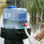 户外水桶塑料PC饮用纯净矿泉水桶车载储水箱带龙头装水桶 3升带孔盖