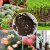 欧恩蒂多肉绿萝营养土花土壤家用养花专用通用型种花盆栽有机花泥种植土 5斤基础营养土 袋子颜色随机