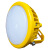 尚为(SEVA) SZSW8163-12W Ex nR IIC T6 Gc  220V 色温5700K 防爆LED应急灯 (计价单位：盏) 黄色