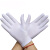 者也 10双礼仪手套 白色 薄氨纶手套升旗手套
