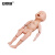 安赛瑞 新生儿模型四肢可弯曲 脐部护理模型 婴儿出生模型临床妇产科儿科模型 601543