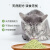 爱宠爱猫N1豆腐猫砂爱宠爱猫实体真空装绿茶原味竹炭除臭无尘混合猫沙冲厕 N1 2.0升级款（绿茶） 1包共8L