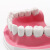 牙科教学模型 牙齿模型 标准牙模 幼儿园刷牙练习口腔儿童模型 C9透明拔牙模型