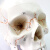ENOVO颐诺1:1医学用高端仿真成人人体头骨模型
