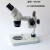 PDOK 双目体视显微镜放大镜工业显微检测仪7到45连续变倍10到40多档变倍解剖鉴定LED环形光源 20/40两档变倍显微镜