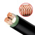沈阳电线电缆有限公司-ZR-YJV-0.6/1KV-2*25mm²国标铜芯电线电缆  1米