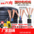 RVV电缆线国标电线软线2芯3芯1254610平方电缆线户 国标34+12.5平方1米价