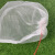 冰禹 BYlj-18 尼龙防虫网袋 水稻育种袋尼龙种子袋套种子袋 纱网袋 60*40cm 10个