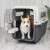 派乐特宠物航空箱塑料托运箱带铁窗猫咪狗狗宠物飞机航空箱国航标准 450B国航箱 （隔尿板+1挂碗