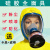 海固（HAI GU）防毒面具防尘硅胶全面具防酸性有机硫化氢AN有毒气体防护全面罩 HG-800 （防无机）