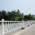 创悟邦 城市道路护栏公路隔离栏市政交通护栏马路防撞护栏长3.08米*高0.8米 此价格为一片含一个立柱和底座