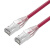 千天（Qantop）QT-WP11L 六类非屏蔽网络跳线 工程级CAT6类网线1米纯铜成品网线红色