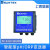 上泰SUNTEX智能型在线水质检测仪pH/ORP PC-3310  485数据 【探头+控制器】 【含405-60-SC电极】
