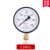 杭州鹤山普通压力表Y-100径向水油气真空表全规格/1.6/2.5MPA鹳山 0~25mpa