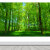 槿瑰阳光大森林树林绿草地大自然风景画墙贴自粘装饰画贴纸树木 图1 40x60厘米  pp背胶 独立
