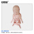 安赛瑞 新生儿模型四肢可弯曲 脐部护理模型 婴儿出生模型临床妇产科儿科模型 601543
