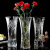 精居坊客厅落地花瓶特大号花瓶玻璃透明大口径高50cm插花大号客厅摆件水 35cm高  郁金香款 机制 +花瓶垫