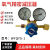 定制氧气减压器精密仪器YQY1两级压力调节器YQT711氮气氩气氢气 氢气0.16x25