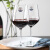 HYWLKJ红酒杯套装家用高脚杯子高档乐美雅水晶玻璃杯葡萄酒杯水晶杯欧式 250ML(6只装）+送6只子弹酒