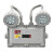 中贵（ZHGYJ）  ZG-ZFZC-E5W-Exd 集中控制型应急照明灯具 车库照明灯 自带电池防爆双头灯5W