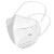 海龙博科N95口罩耳挂式独立灭菌装  透气 防飞沫口罩 白色成人N95口罩  N95带钢印1000个一箱装