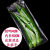市新鲜果蔬保鲜袋打孔一次性透气蔬菜袋精品有机蔬菜包装可定制 20*54(内长50CM 打12孔) 100只1x1mm 花刀 打孔