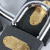 永固牌铁挂锁小锁头宿舍柜子电表箱锁具通开铜芯一把钥匙开多把锁 (配9把钥匙)加厚32毫米单开