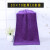 洛港 紫色 30×70cm10条装 家政保洁专用毛巾吸水不掉毛擦地桌布百洁布家务清洁抹布厨房用品