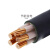 电力电缆珠江电线国标YJV2芯3芯4芯10/35/50/70/120平方电缆 3 X 162 X 10 (1米)
