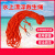 江波（JIANGBO）救生绳游泳绳子 救援安全绳漂浮水上救生圈浮索逃生绳 直径8毫米橘色普通10米