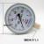 红旗 仪表普通压力表Y-100水压1.6MPa气压真空负压表油压 单位：个 0-0.06MPA