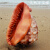 天然超大万宝螺大海螺世界四大名螺家居创意礼品鱼缸造景珊瑚 A级品精品18-18.3厘米 稀有收藏尺寸
