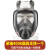 精选防毒面具全面罩防毒面罩全脸防尘电焊呼吸喷漆防护打农 普通款全面具-仅主体