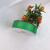 3cm生日包装带织带绸带烘焙水果鲜花围边礼品盒包扎丝带缎带 绿色 3cm91米/盘