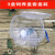 LZJV太空舱蚕宝宝宠物活体饲养箱透气手提透明级蚕卵小蚕大蚕使用 大号透气箱1个 2 6厘米