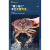 超大面包蟹母蟹鲜活熟冻大螃蟹海蟹新鲜海鲜水产黄金蟹珍宝蟹 鲜活珍宝蟹800-1000g/只