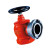 筑采 ZHUCAI 室内消火栓（旋转型） SNZ65 消防器材  一个价  5个起价