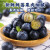 喵果馋云南蓝莓 国产新鲜大蓝莓 当季时令蓝莓水果生鲜125g/盒 单盒 125g 6盒单果15mm+