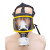 普力捷  FD-LWS-001 头网式防毒面具全面罩 含滤盒 单位：套