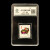 中鼎典藏 一轮生肖邮票封装盒 1980-1991年生肖邮票评级 1983年T80猪年邮票