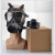 凯瑞达 防毒面具 FMJ05型 自吸过滤头戴式防毒面罩 全套