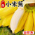 悦江湖广西正宗小米蕉9斤新鲜香蕉芭蕉水果香焦自然熟整箱苹果蕉粉蕉甜 2斤