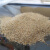 渗水杯过滤杯套装黏土沙子土壤渗水性实验四年级科学[科学猩] 黏土500g
