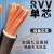 尚可 单芯电线电缆RVV-10平方-10米国标铜芯软线电力阻燃电缆线