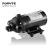 普尼特（ponyte）DP-60B 12V/24V 直流微型隔膜水泵耐腐蚀扫路车 清洗仪器医美用 DP-60B/24V