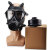 佳技达 防毒全面罩 全面式 1个 防毒面具+滤毒罐（z-b-p2-2） 
